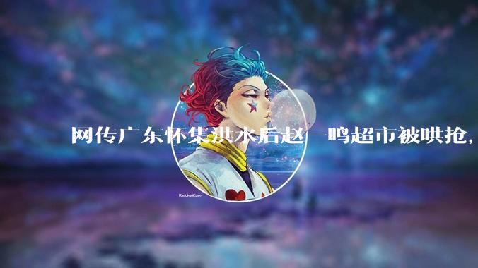网传广东怀集洪水后赵一鸣超市被哄抢，县***回应相关单位正在核实，若属实哄抢者该承担哪些法律责任？