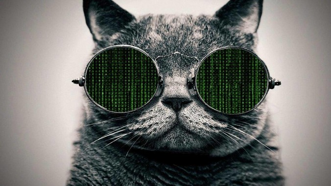 前端 css 中的 Grid 属性有哪些？